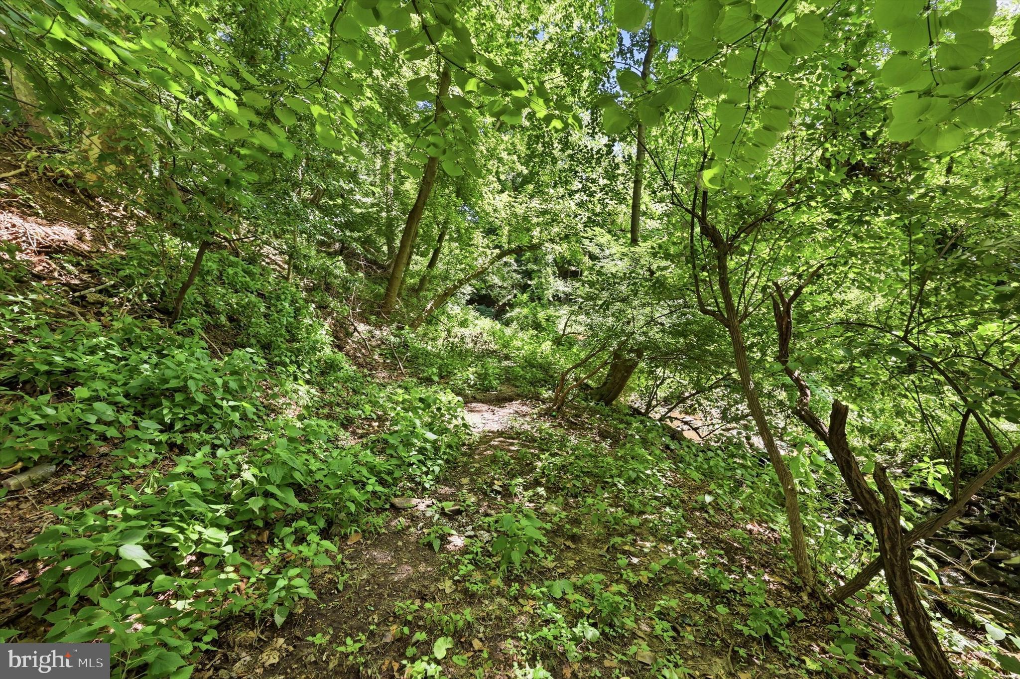 1105 Clark Road Glenside, PA 19038 - Photo 48 of 50