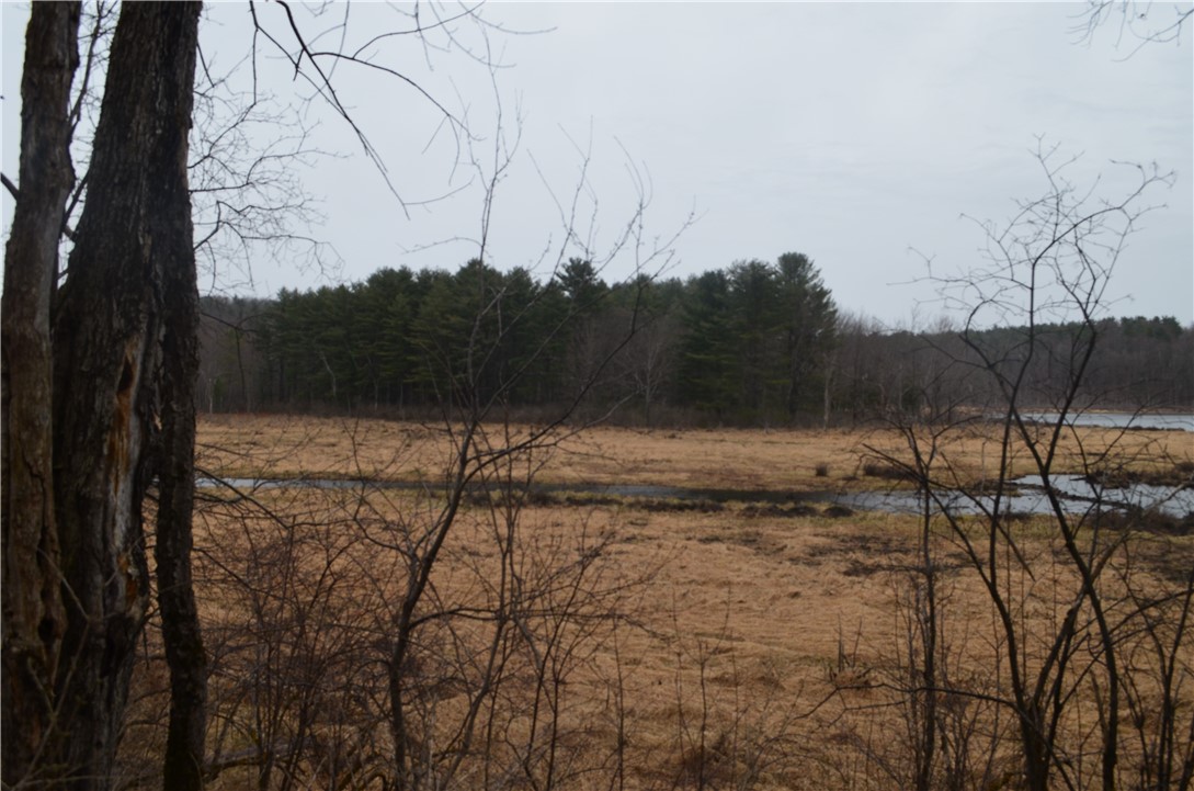 1377 Vrolyk Road Georgetown, NY 13334 - Photo 12 of 44