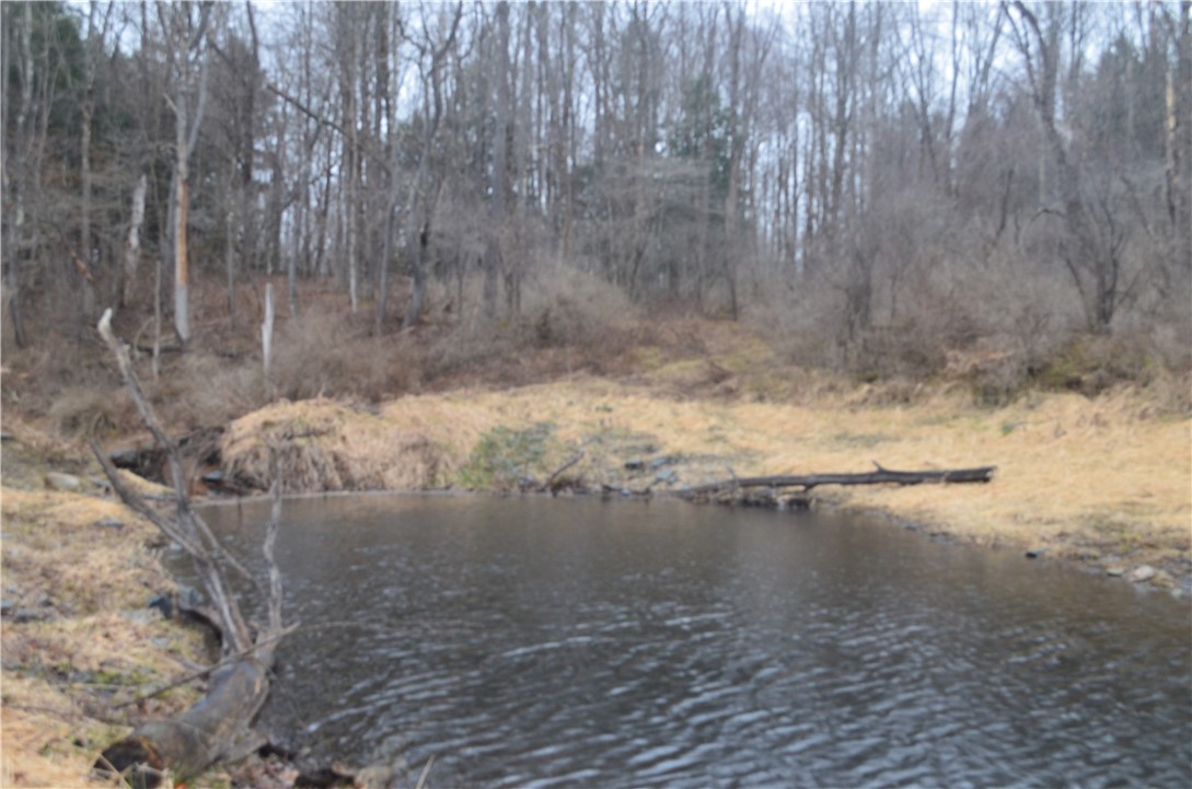 1377 Vrolyk Road Georgetown, NY 13334 - Photo 13 of 44