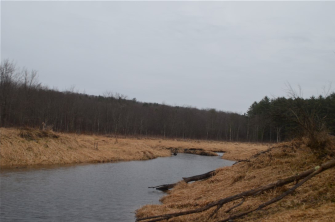 1377 Vrolyk Road Georgetown, NY 13334 - Photo 14 of 44