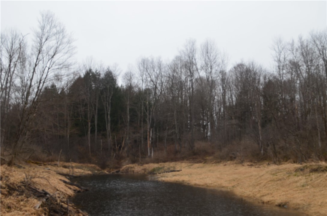 1377 Vrolyk Road Georgetown, NY 13334 - Photo 15 of 44