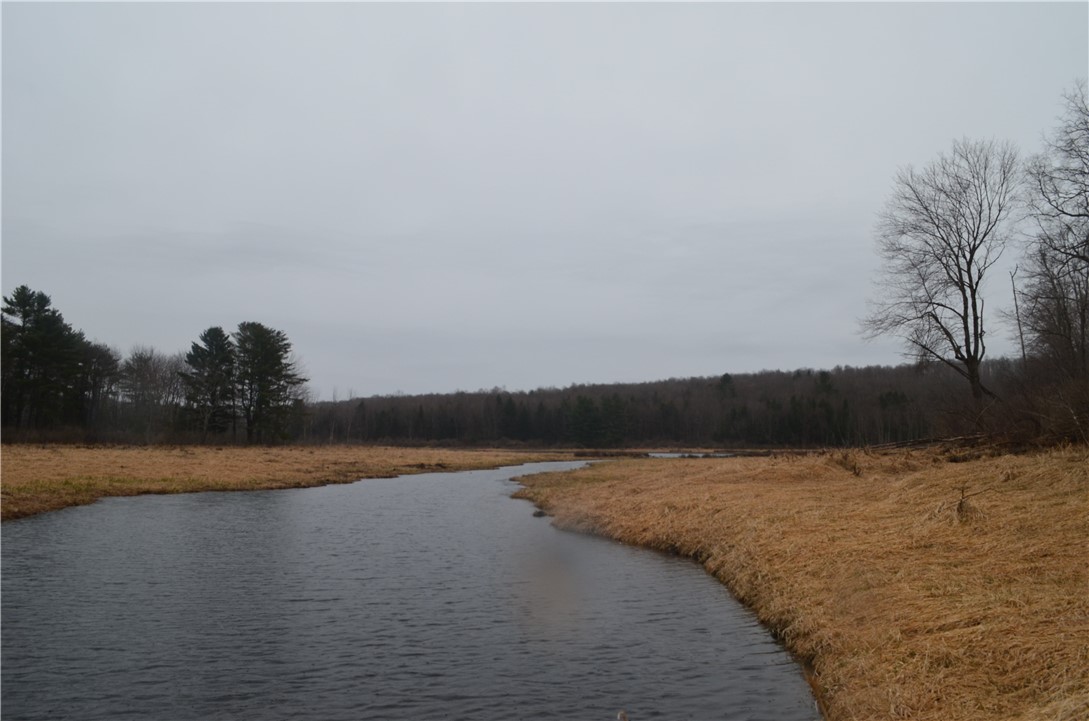 1377 Vrolyk Road Georgetown, NY 13334 - Photo 16 of 44