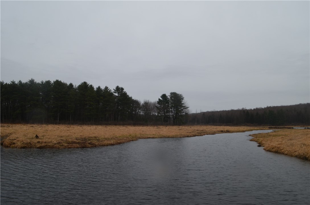 1377 Vrolyk Road Georgetown, NY 13334 - Photo 17 of 44