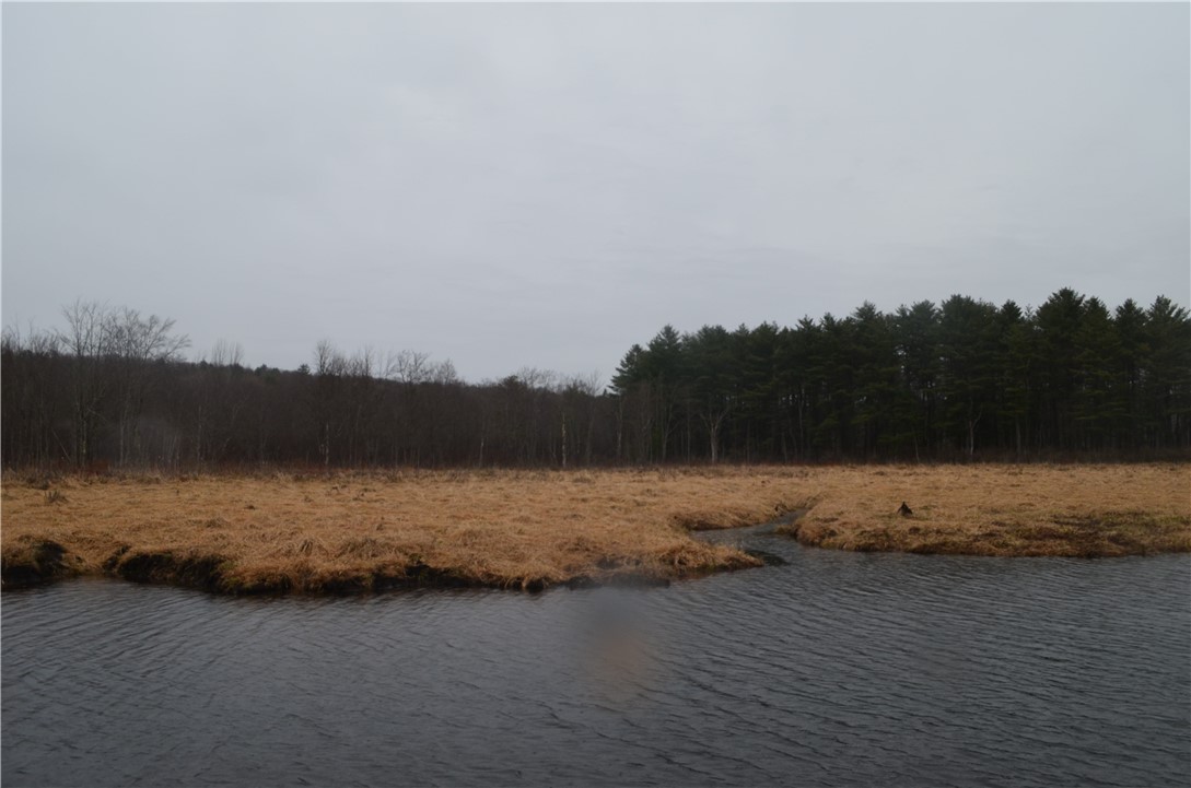 1377 Vrolyk Road Georgetown, NY 13334 - Photo 18 of 44