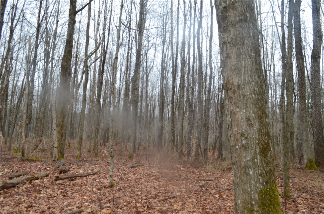 1377 Vrolyk Road Georgetown, NY 13334 - Photo 22 of 44