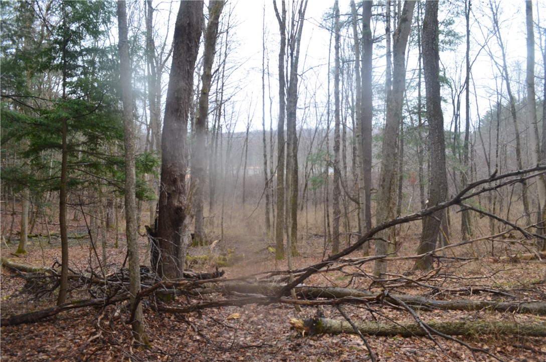 1377 Vrolyk Road Georgetown, NY 13334 - Photo 23 of 44