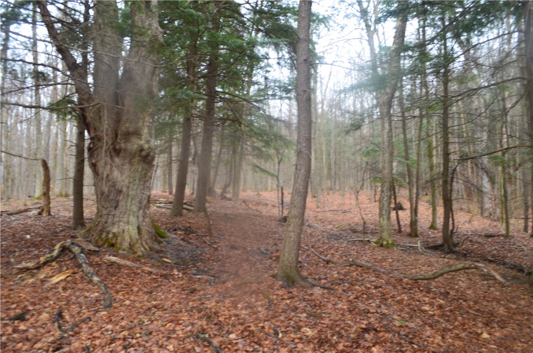 1377 Vrolyk Road Georgetown, NY 13334 - Photo 26 of 44