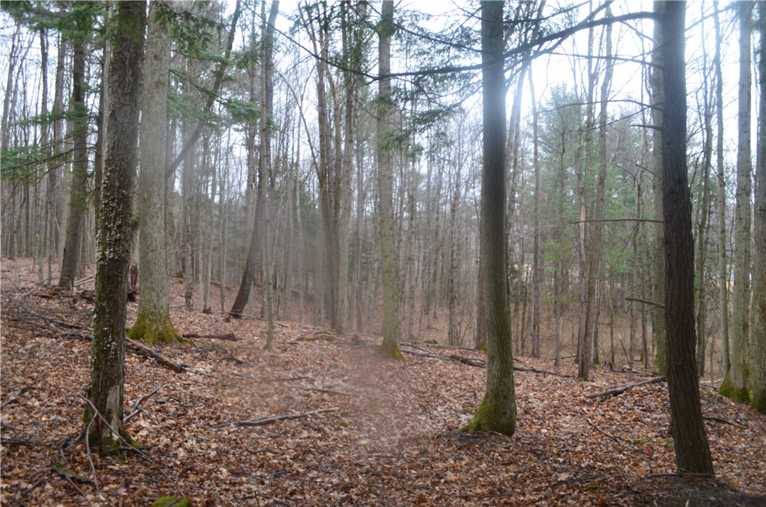 1377 Vrolyk Road Georgetown, NY 13334 - Photo 27 of 44