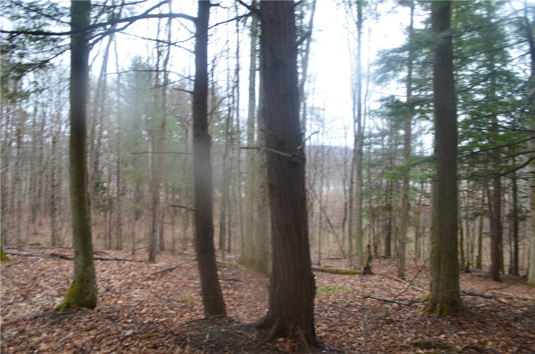 1377 Vrolyk Road Georgetown, NY 13334 - Photo 28 of 44