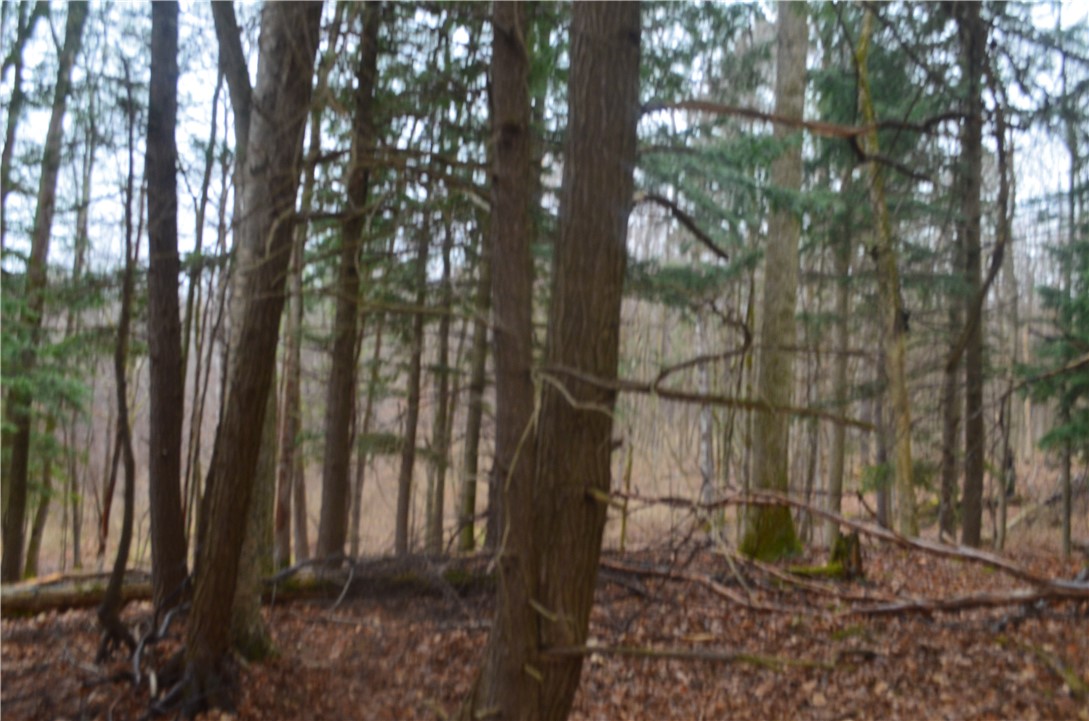 1377 Vrolyk Road Georgetown, NY 13334 - Photo 30 of 44