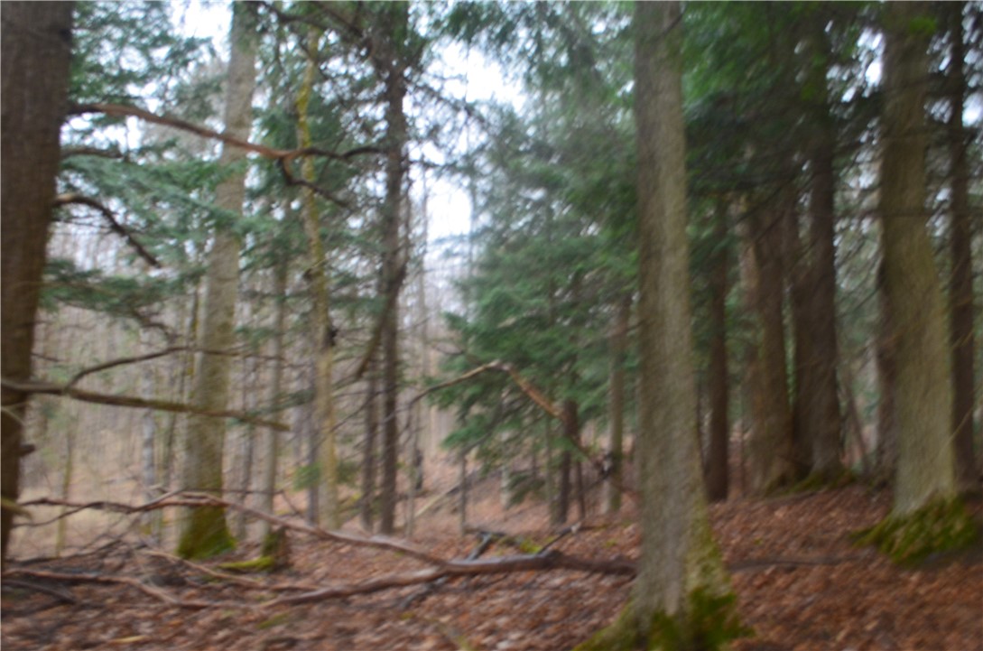 1377 Vrolyk Road Georgetown, NY 13334 - Photo 31 of 44