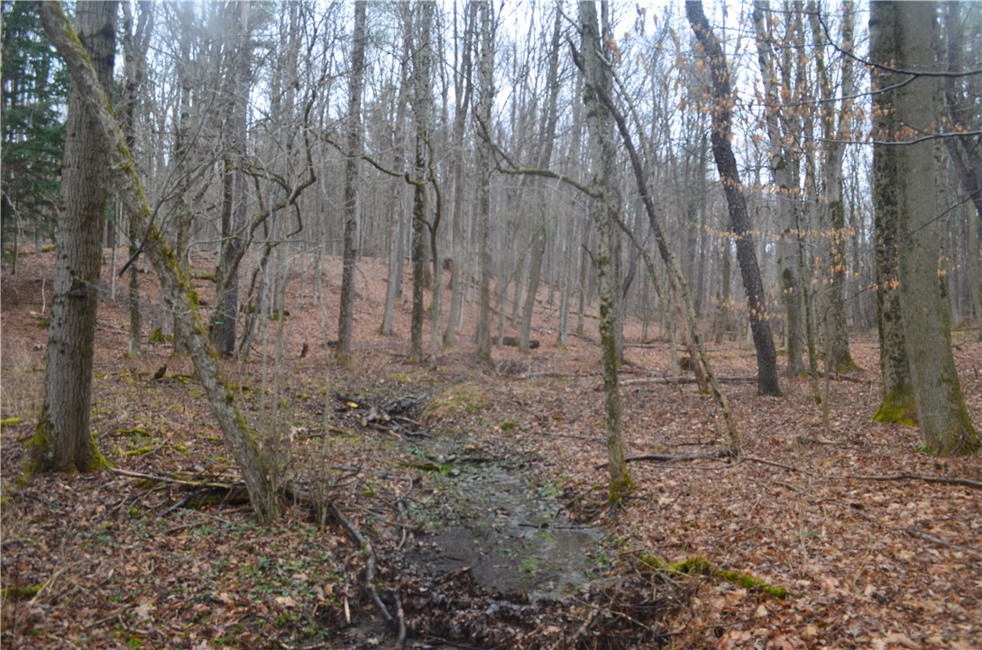 1377 Vrolyk Road Georgetown, NY 13334 - Photo 32 of 44