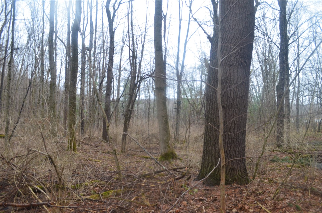 1377 Vrolyk Road Georgetown, NY 13334 - Photo 34 of 44