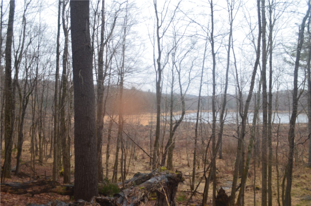 1377 Vrolyk Road Georgetown, NY 13334 - Photo 35 of 44