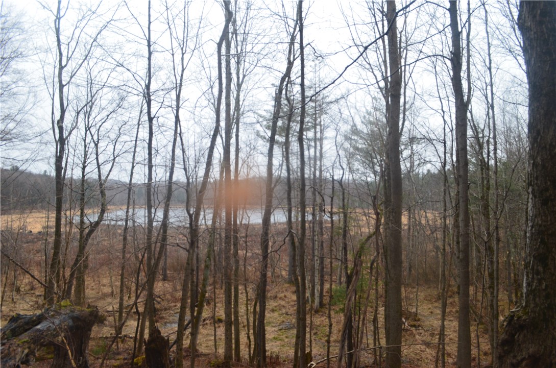 1377 Vrolyk Road Georgetown, NY 13334 - Photo 36 of 44