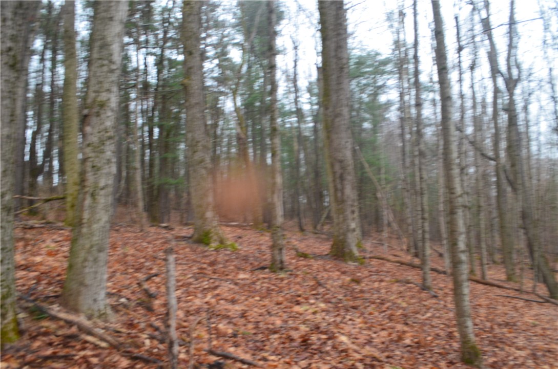 1377 Vrolyk Road Georgetown, NY 13334 - Photo 37 of 44