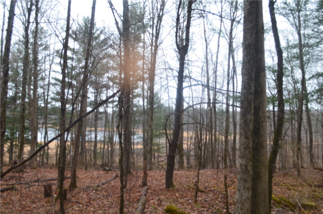 1377 Vrolyk Road Georgetown, NY 13334 - Photo 39 of 44