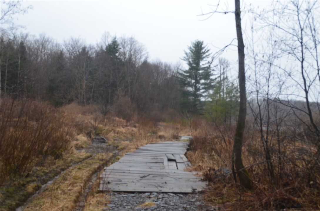 1377 Vrolyk Road Georgetown, NY 13334 - Photo 41 of 44