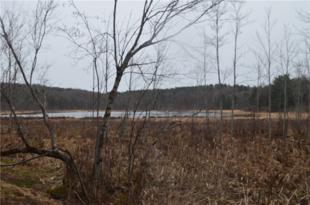 1377 Vrolyk Road Georgetown, NY 13334 - Photo 5 of 44