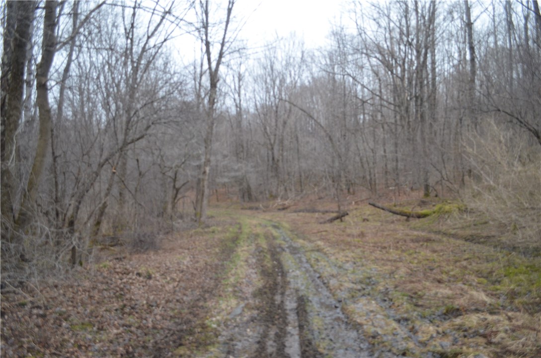 1377 Vrolyk Road Georgetown, NY 13334 - Photo 6 of 44