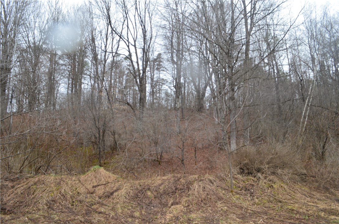 1377 Vrolyk Road Georgetown, NY 13334 - Photo 7 of 44