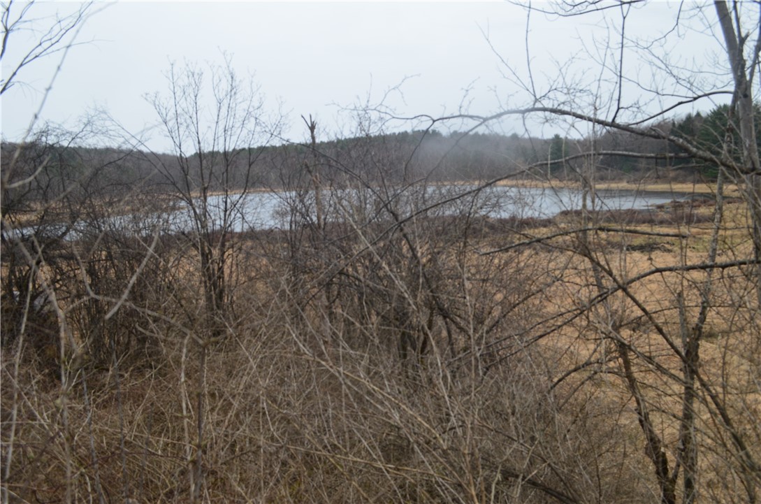 1377 Vrolyk Road Georgetown, NY 13334 - Photo 9 of 44