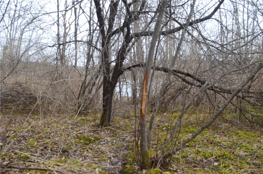 1377 Vrolyk Road Georgetown, NY 13334 - Photo 10 of 44