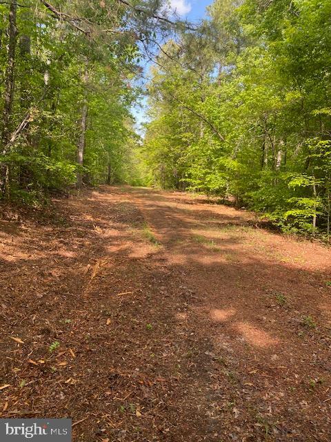 0 Carters Gate Road Ruther Glen, VA 22546 - Photo 2 of 6 Gallery Image 2