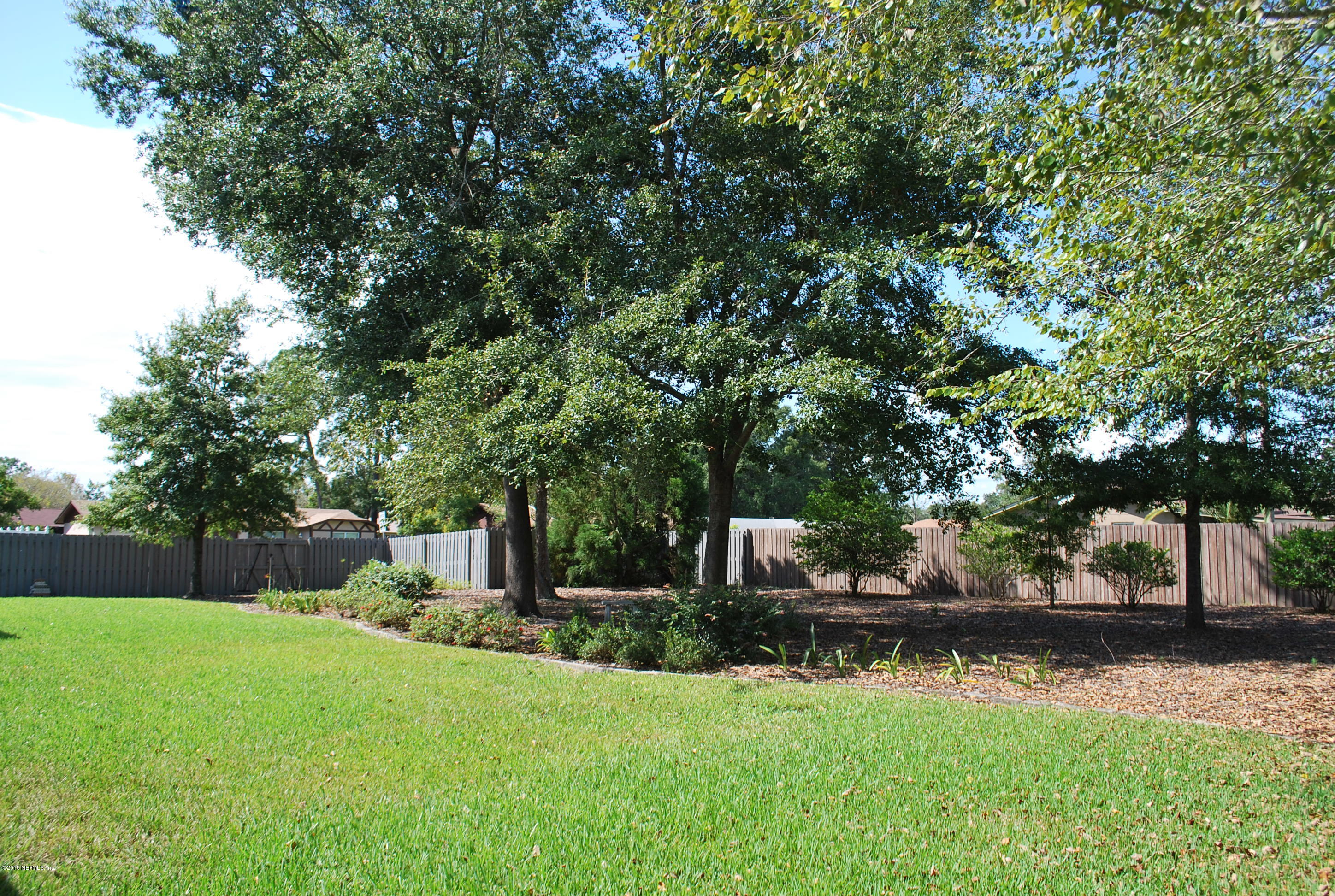 8089 Springtree Road Jacksonville, FL 32210 - Photo 46 of 59 More yard views
