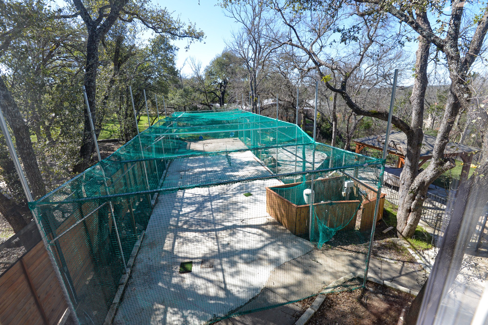 10710 D-K Ranch Road Austin, TX 78759 - Photo 34 of 34 A private, net-enclosed outdoor space for recreation, set among mature trees.