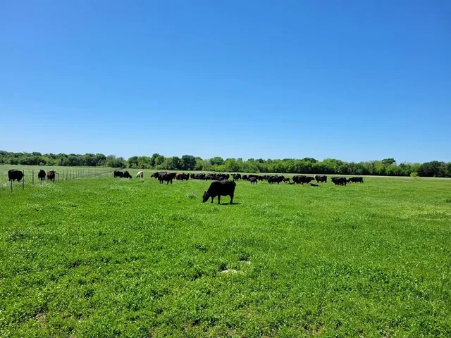 a view of a green field with an outdoor space