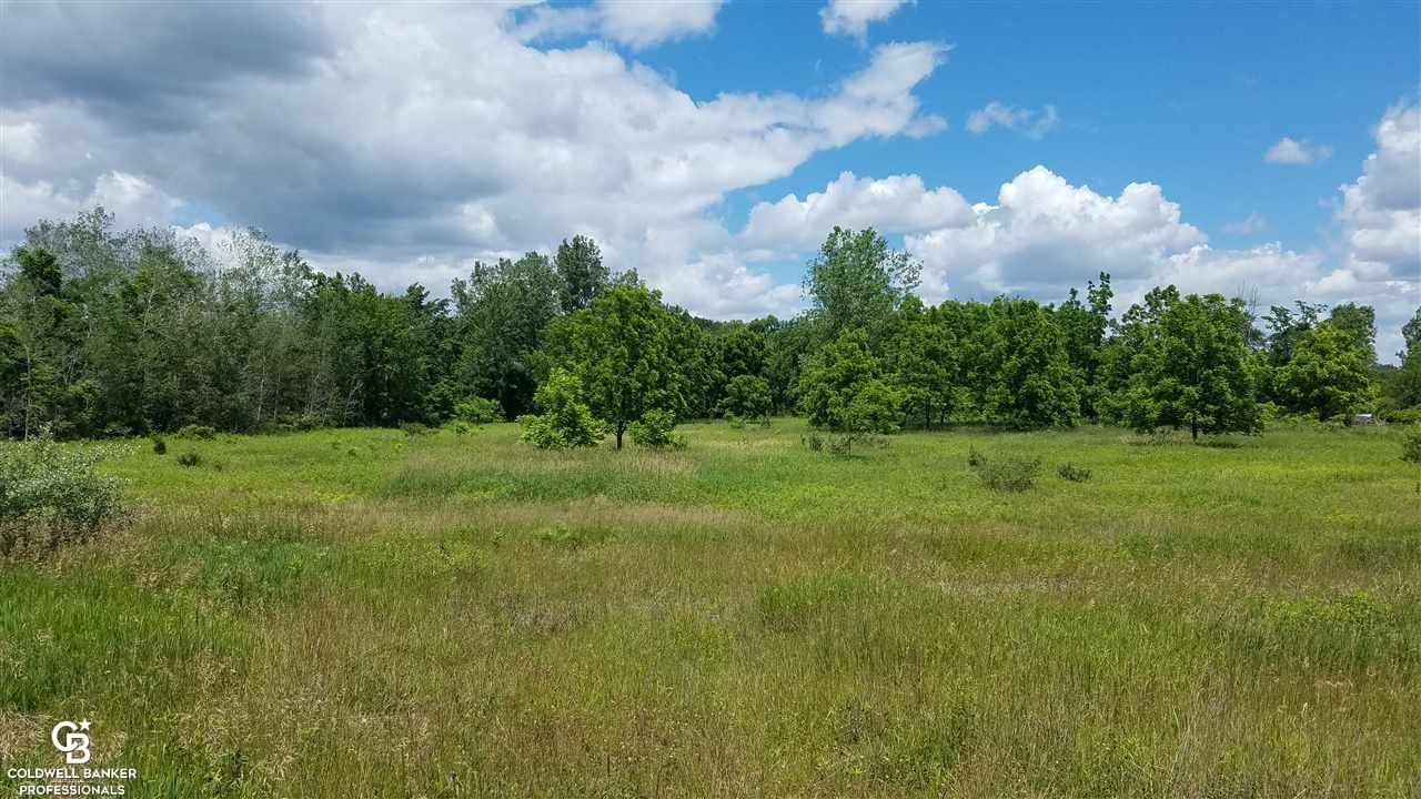 14183 Turner Road Yale, MI 48097 - Photo 9 of 14