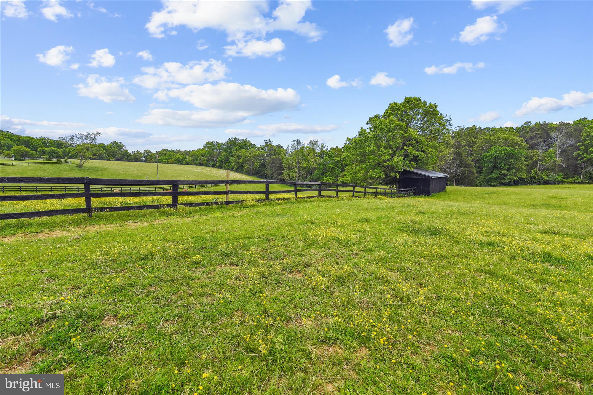 21717 Oatlands Road Aldie, VA 20105 - Photo 54 of 71 Fenced and Cross Fenced