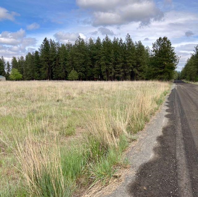 Xxxx South Taylor Road Spokane, WA 99224 - Photo 2 of 5