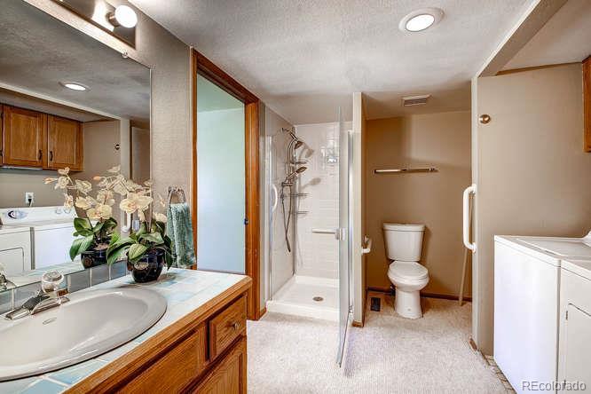 8205 Sweet Water Road Lone Tree, CO 80124 - Photo 14 of 33 a bathroom with a sink toilet and shower