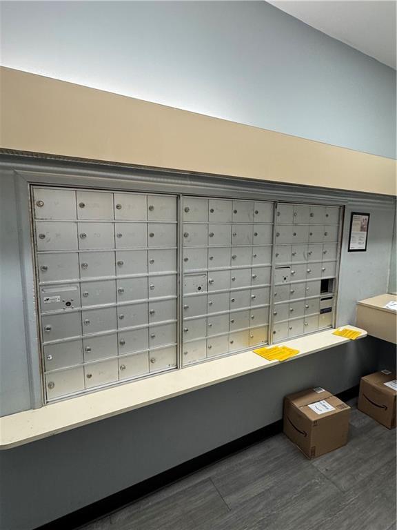 1165 East 54th Street, Unit 2Z Brooklyn, NY 11234 - Photo 3 of 14 a view of a swimming pool with a bathtub