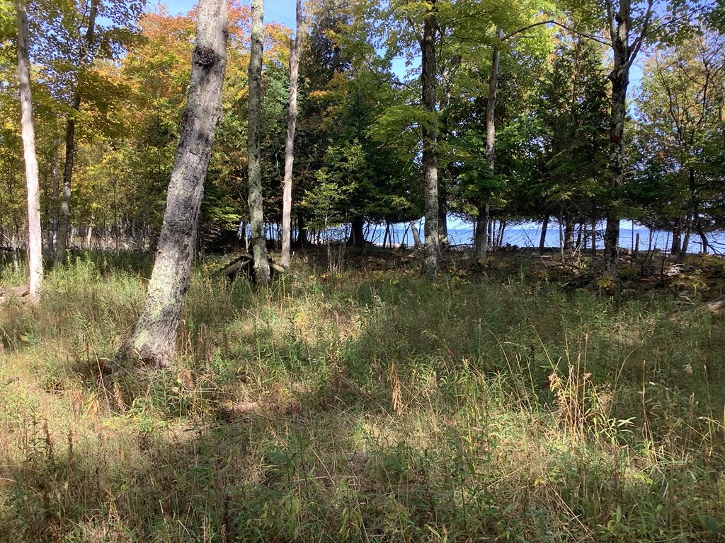 Wickman Road Washington Island, WI 54246 - Photo 5 of 8