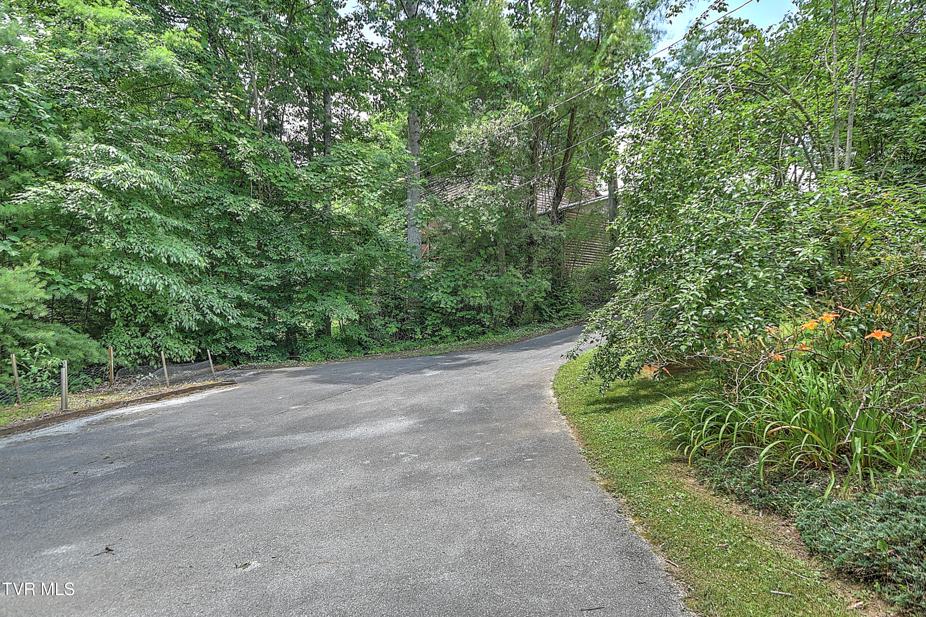 147 Fiddlers Branch Road Hampton, TN 37658 - Photo 65 of 67 147 Fiddlers Branch JF-68