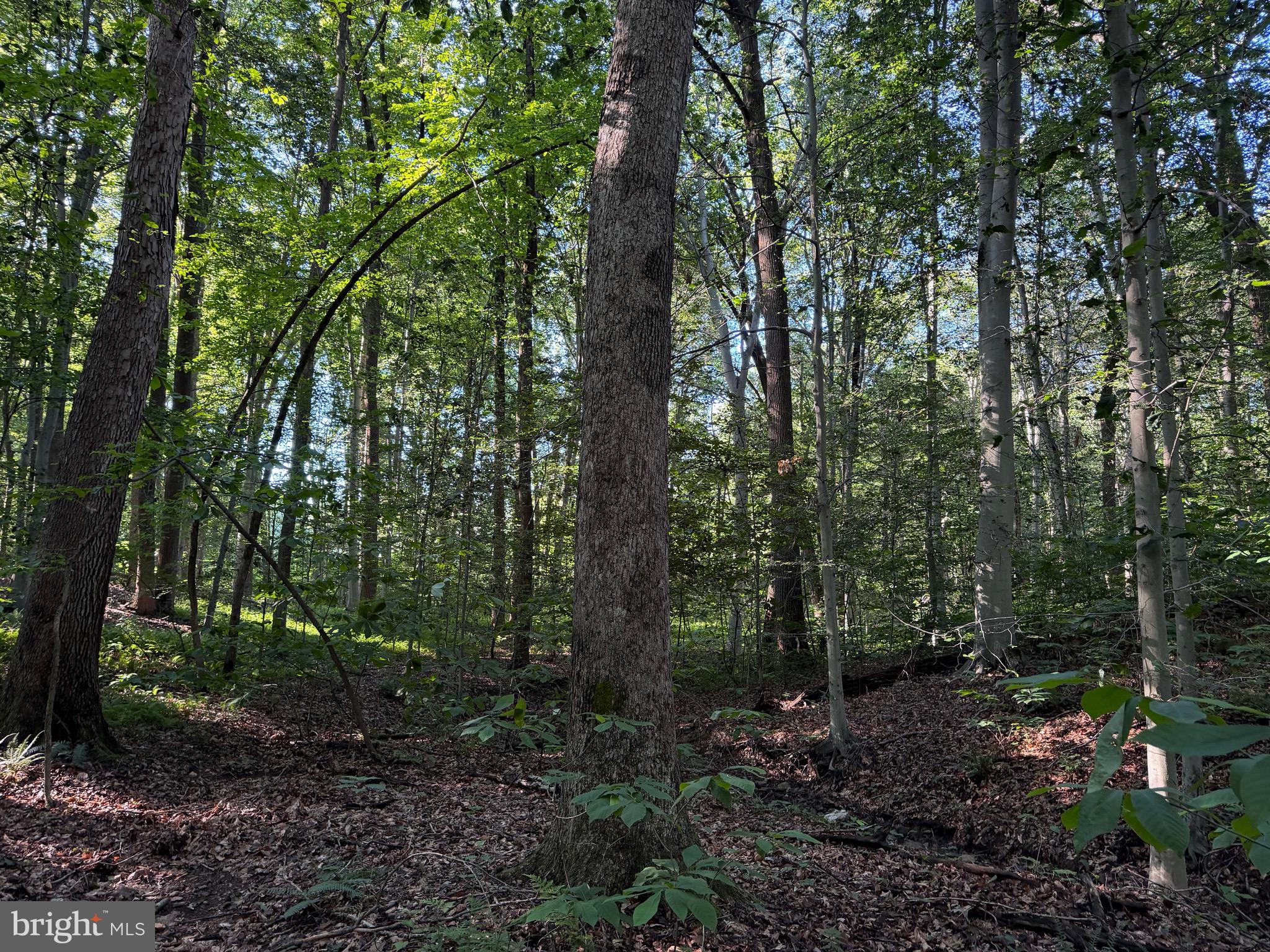 0 Rock Springs Road Conowingo, MD 21918 - Photo 49 of 79