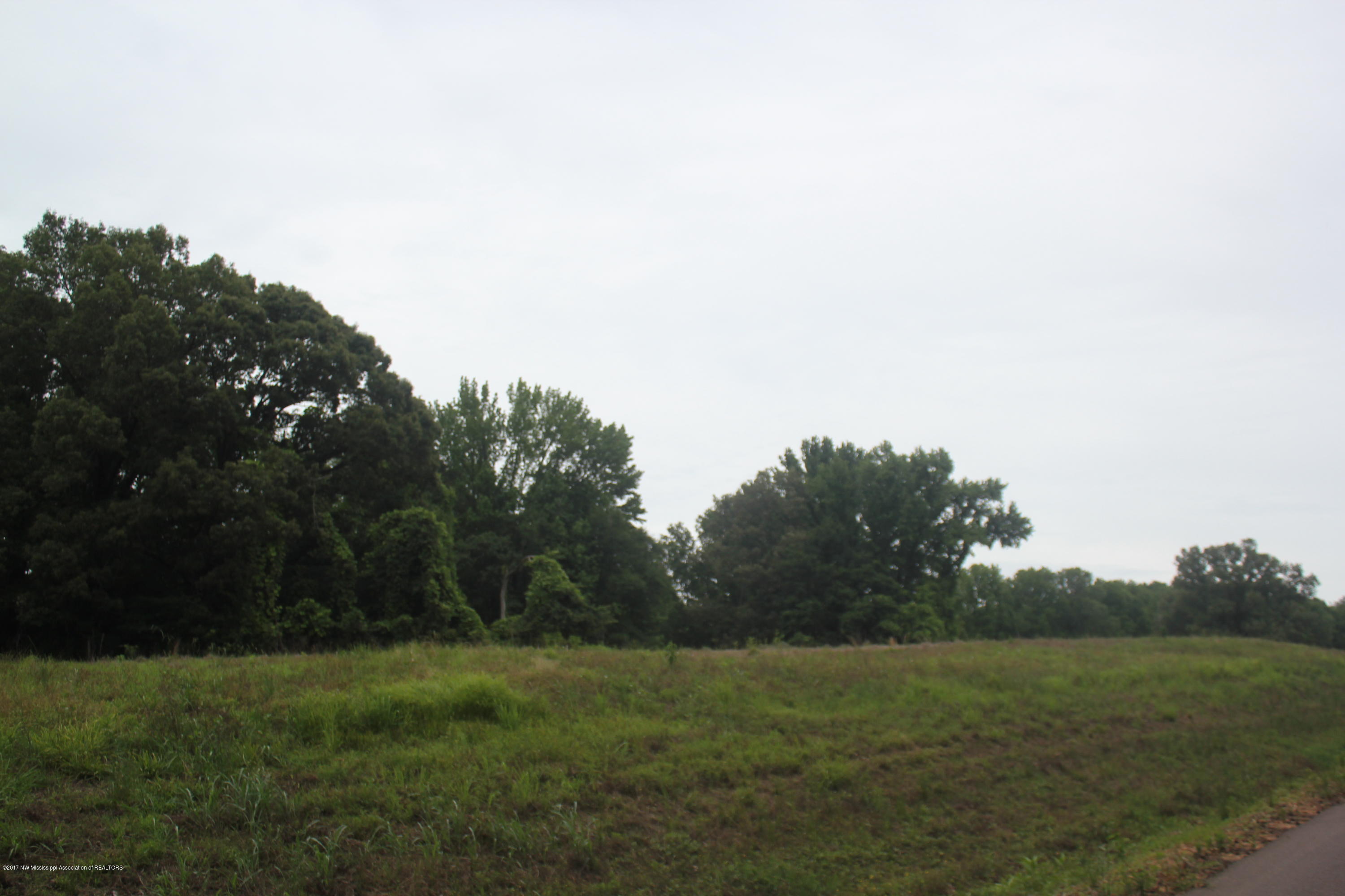 2 Clifton Road Hernando, MS 38632 - Photo 11 of 41 IMG_6287