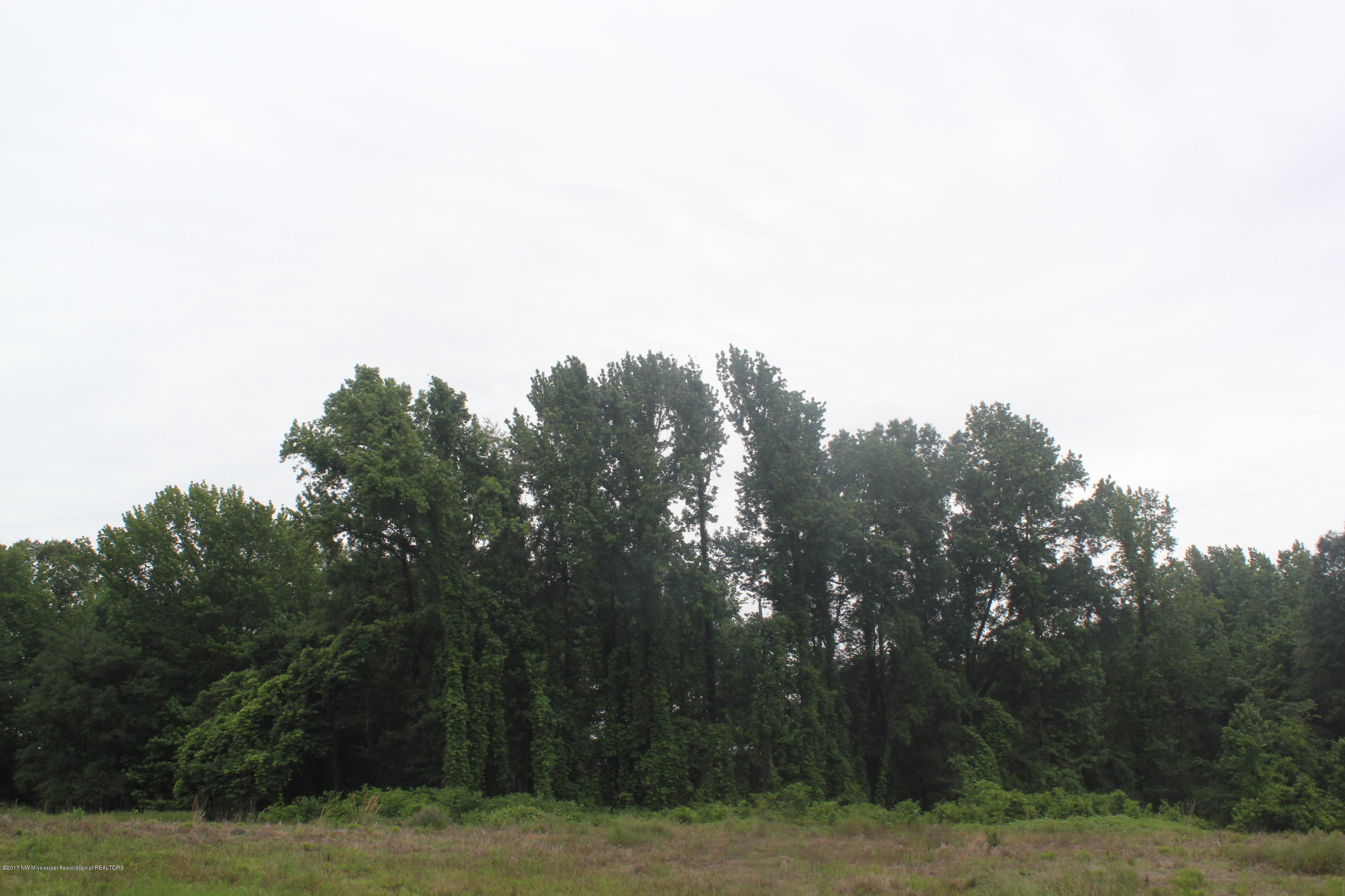 2 Clifton Road Hernando, MS 38632 - Photo 12 of 41 IMG_6288