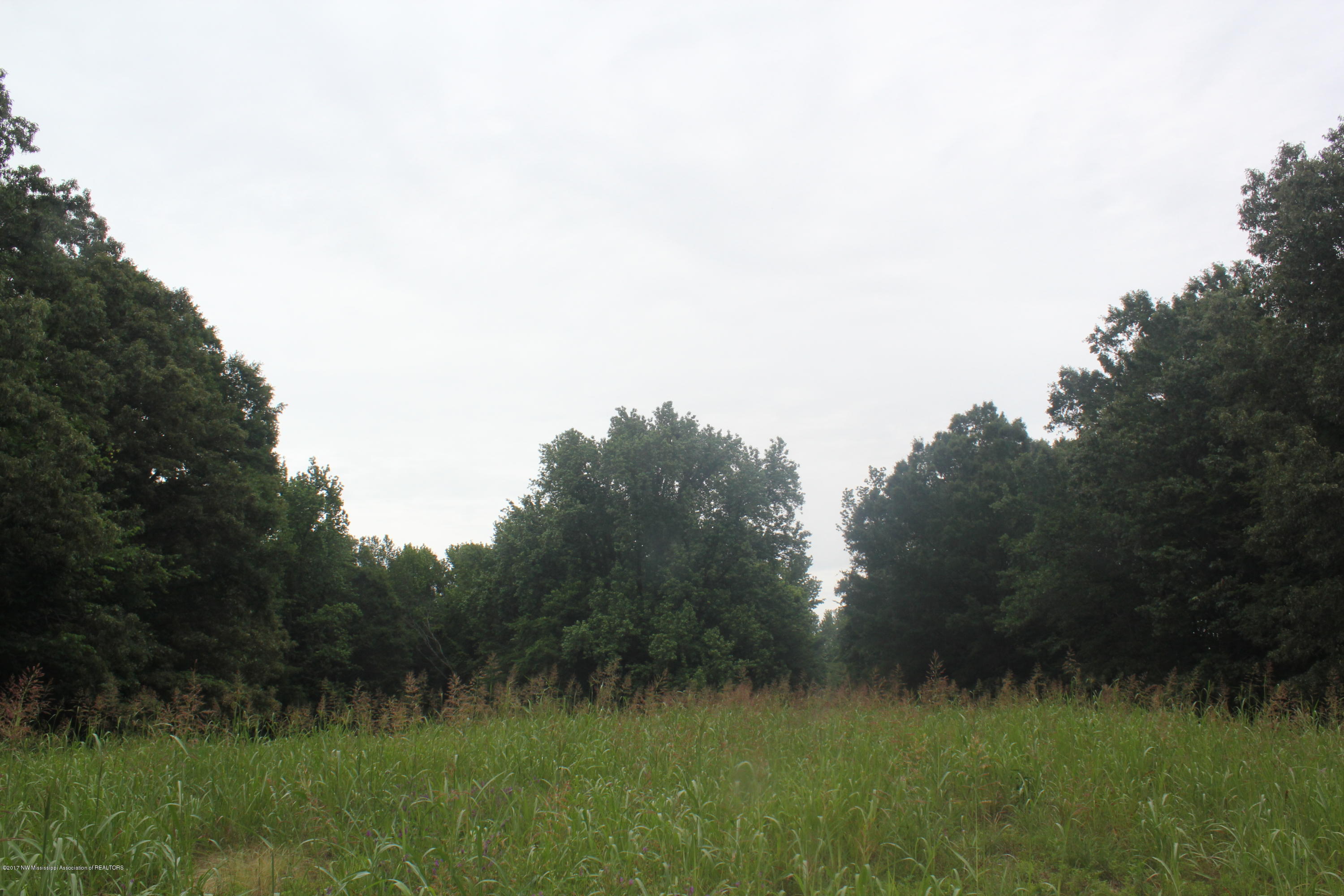 2 Clifton Road Hernando, MS 38632 - Photo 26 of 41 IMG_6302