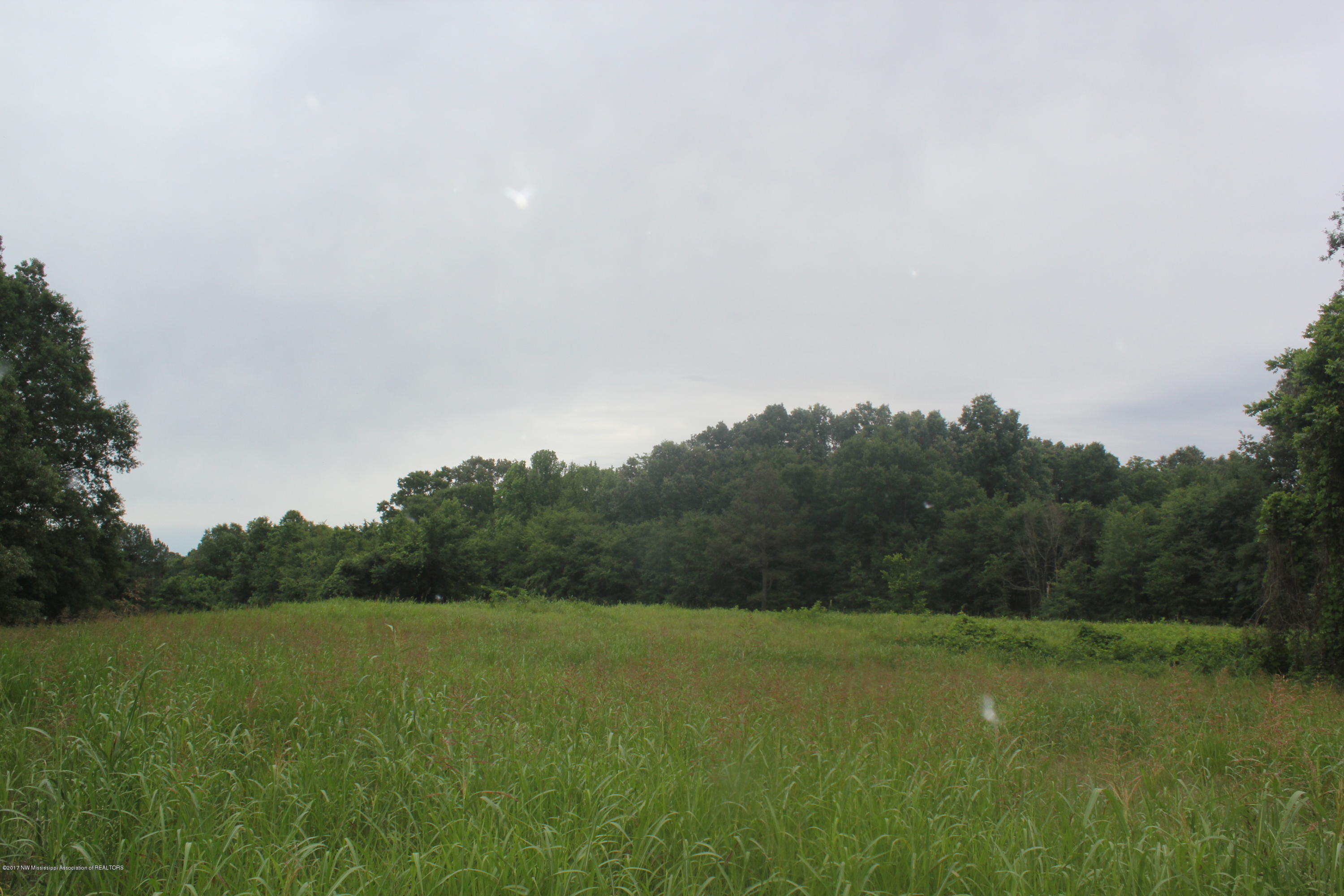 2 Clifton Road Hernando, MS 38632 - Photo 27 of 41 IMG_6303