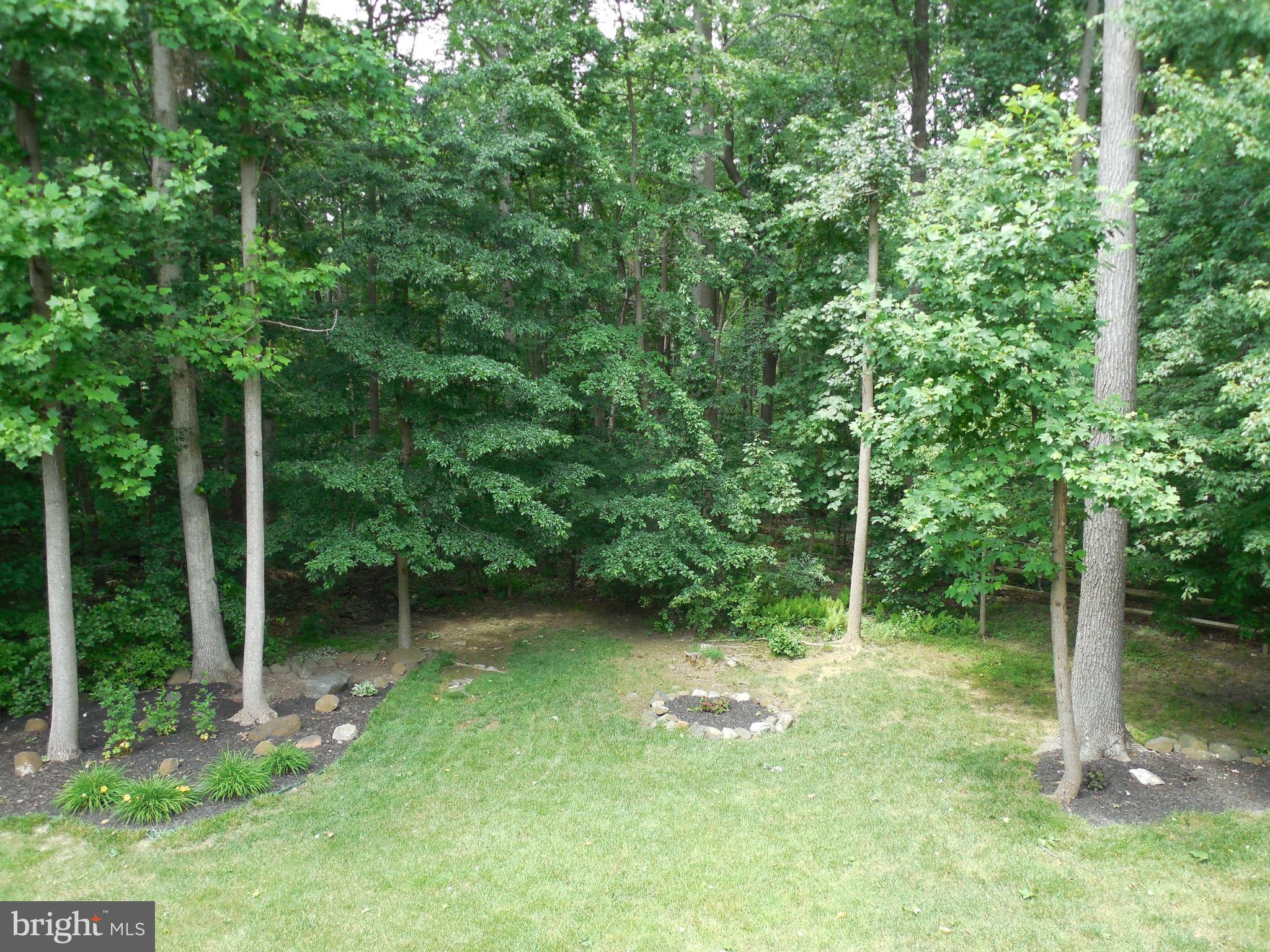 503 Copeland Road Fallston, MD 21047 - Photo 25 of 30 Back Yard