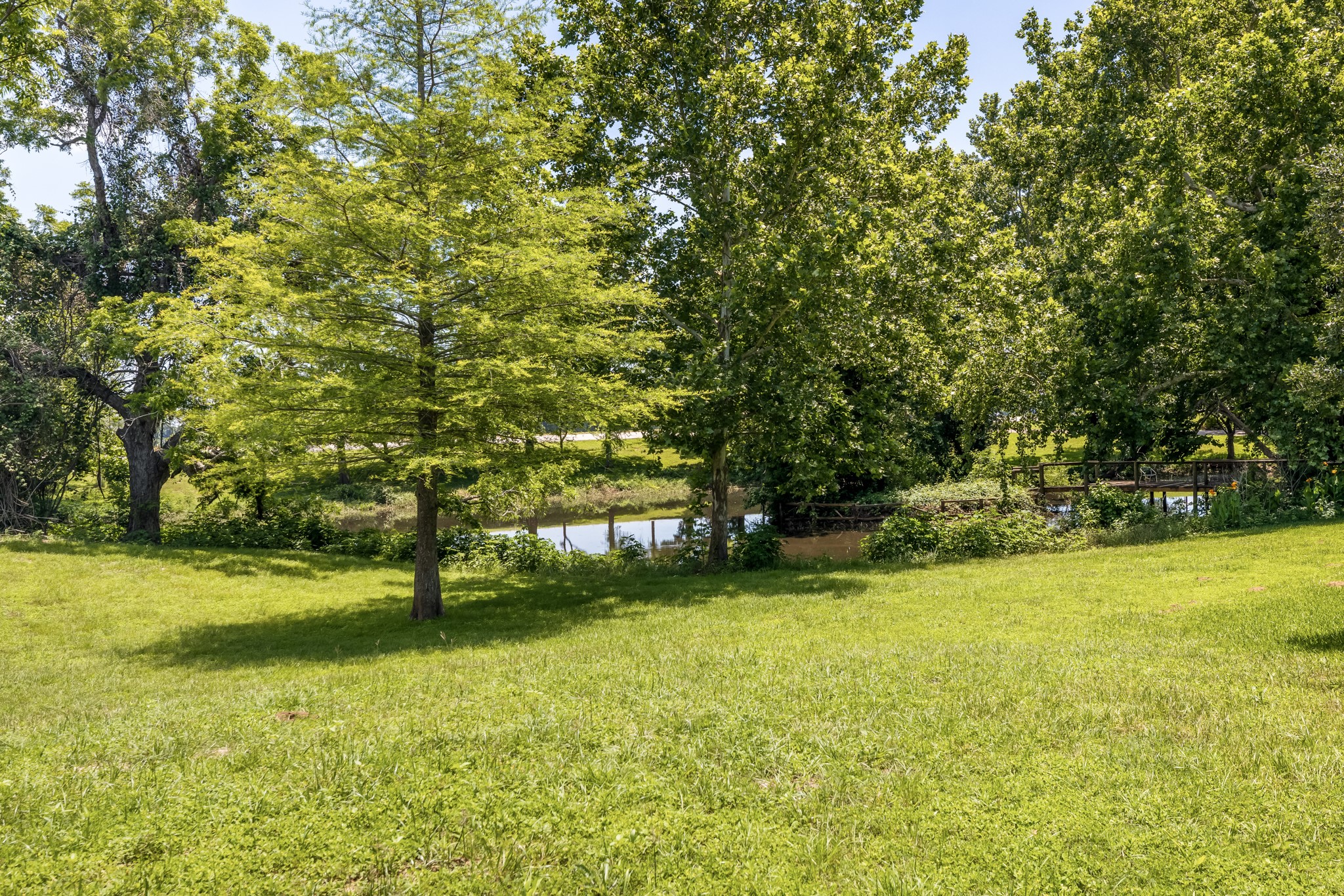 2009 FM 950 Road Eagle Lake, TX 77434 - Photo 25 of 27 a view of yard with green space and trees