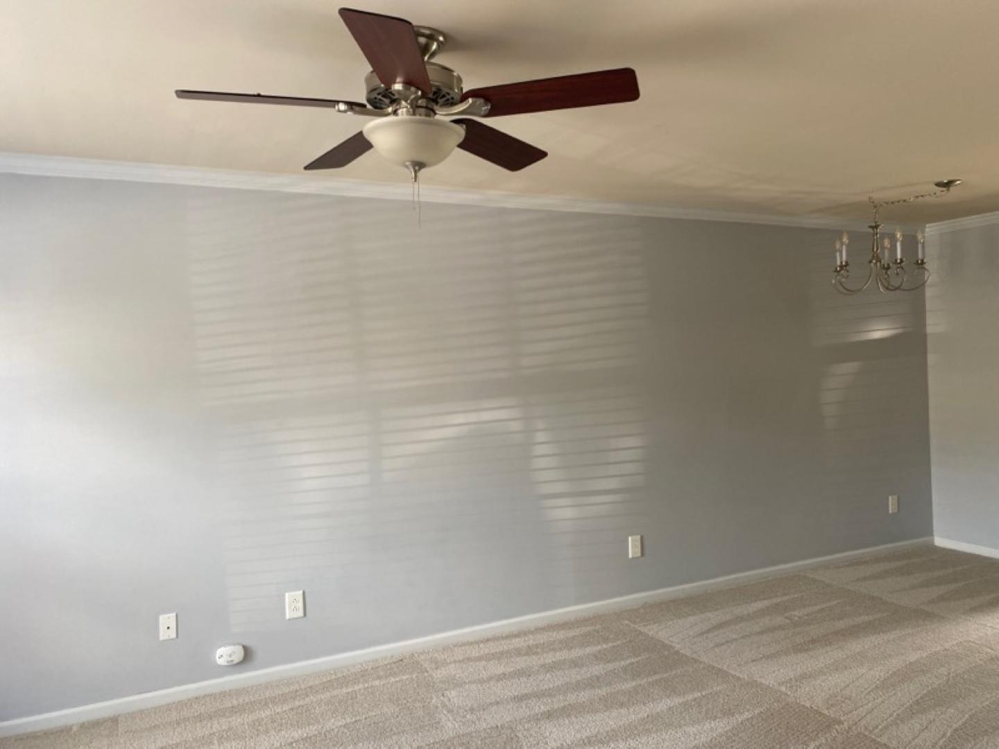 2024 Kedvale Avenue Raleigh, NC 27617 - Photo 5 of 28 Photo #5
