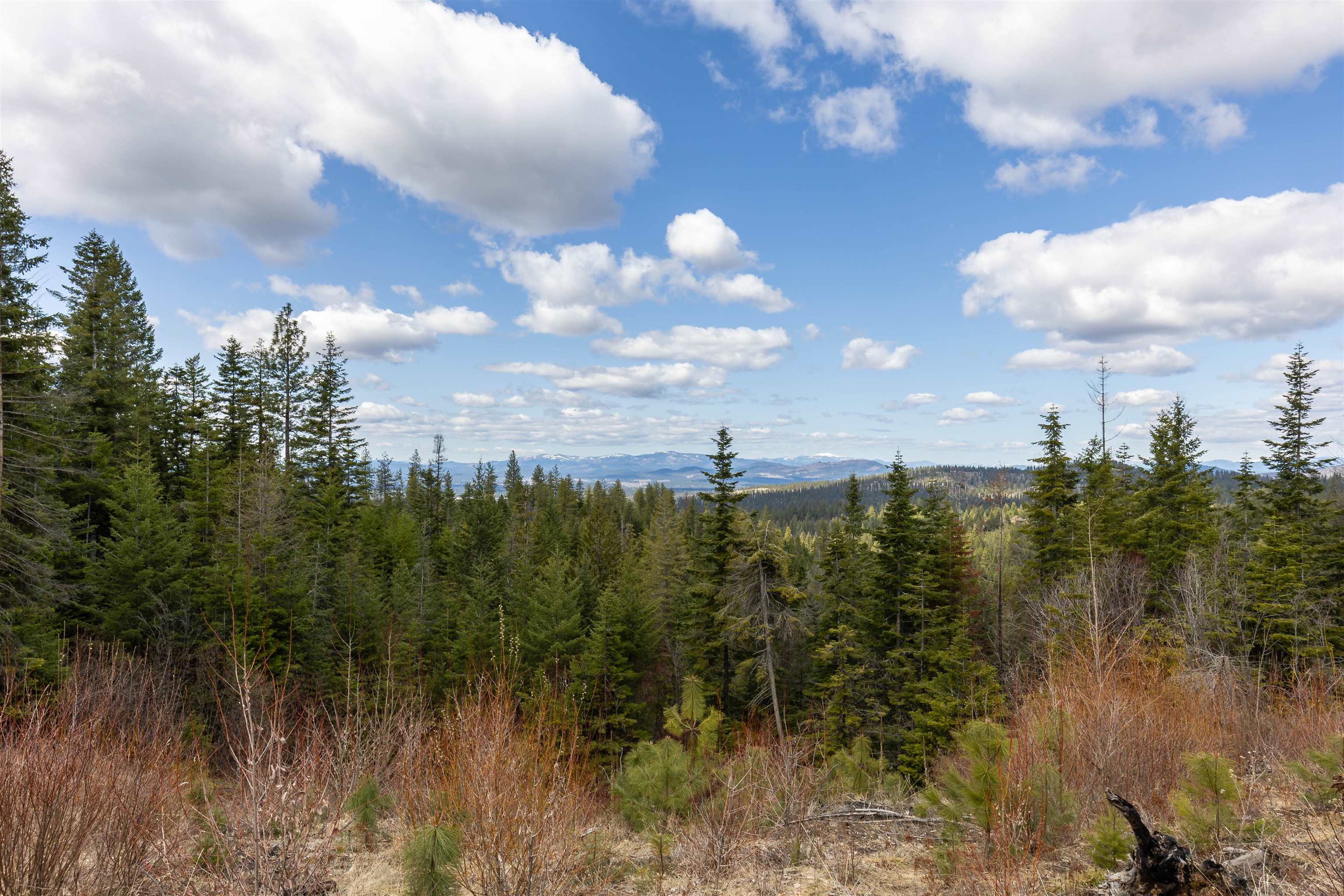 31-xxx North Jackson Road Chattaroy, WA 99003 - Photo 11 of 32