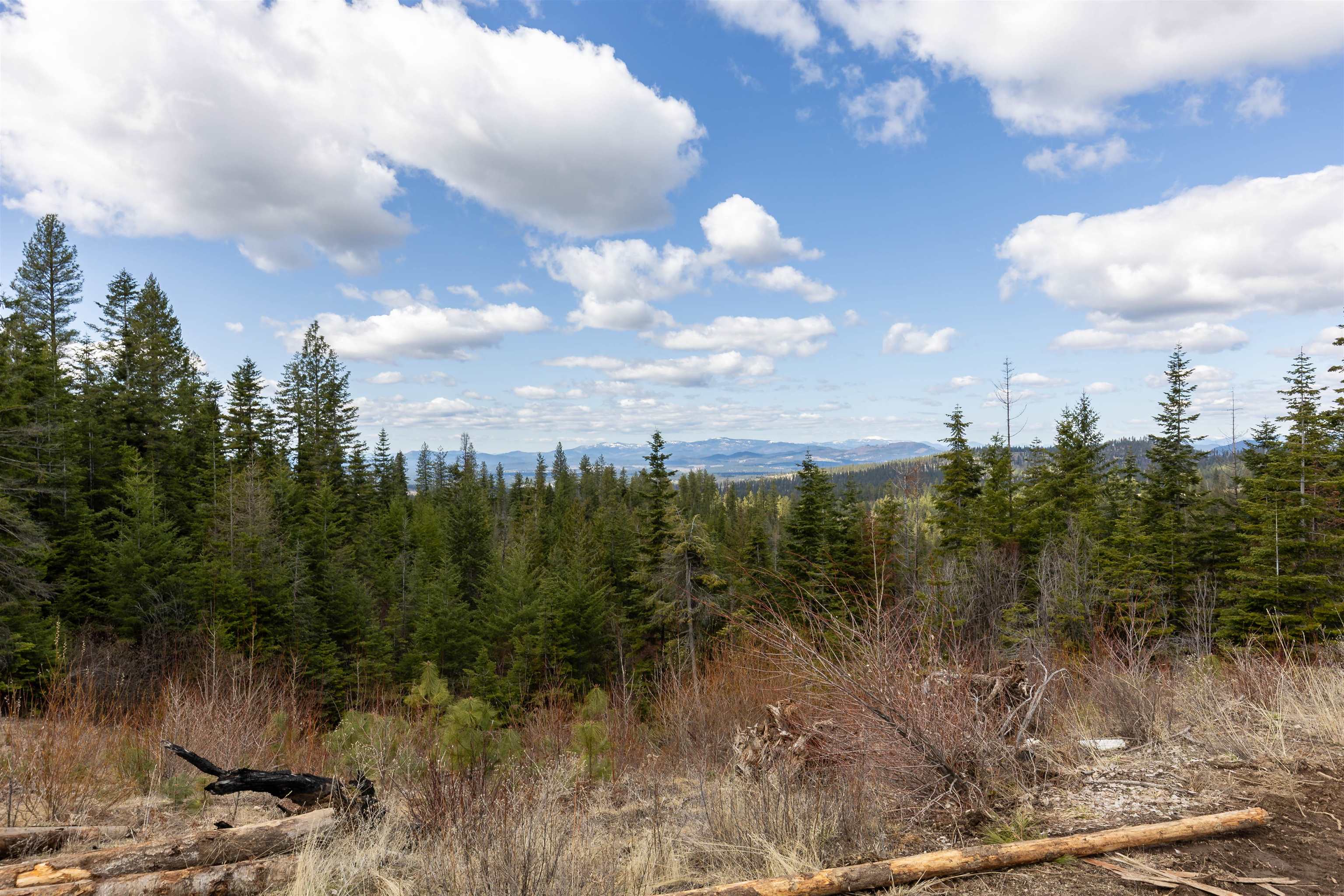 31-xxx North Jackson Road Chattaroy, WA 99003 - Photo 13 of 32