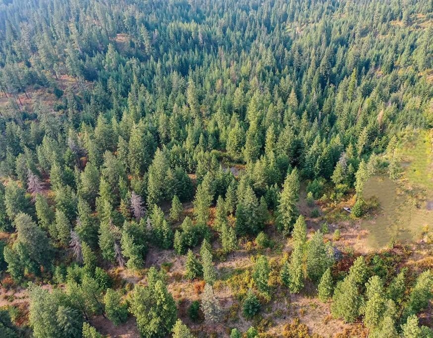 31-xxx North Jackson Road Chattaroy, WA 99003 - Photo 14 of 32