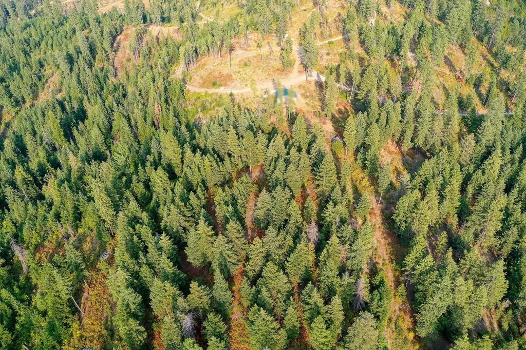 31-xxx North Jackson Road Chattaroy, WA 99003 - Photo 15 of 32